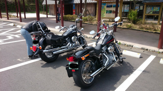 DSC_0283.jpg