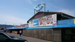 DSC_0296.jpg